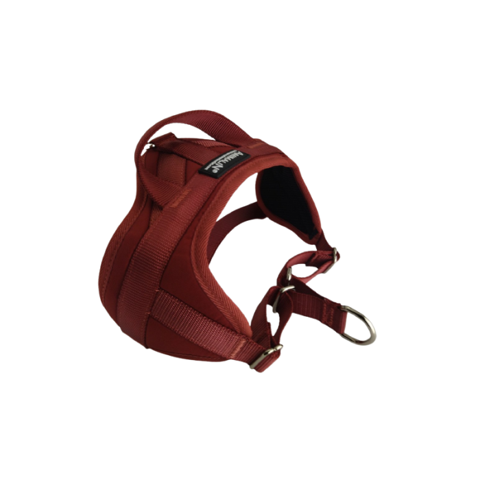 Harnais AUTOMNE Animalin® – Coloris Bordeaux (5 tailles)