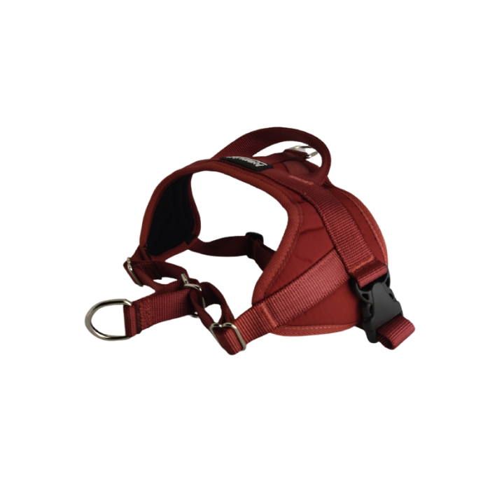 Harnais AUTOMNE Animalin® – Coloris Bordeaux (5 tailles)