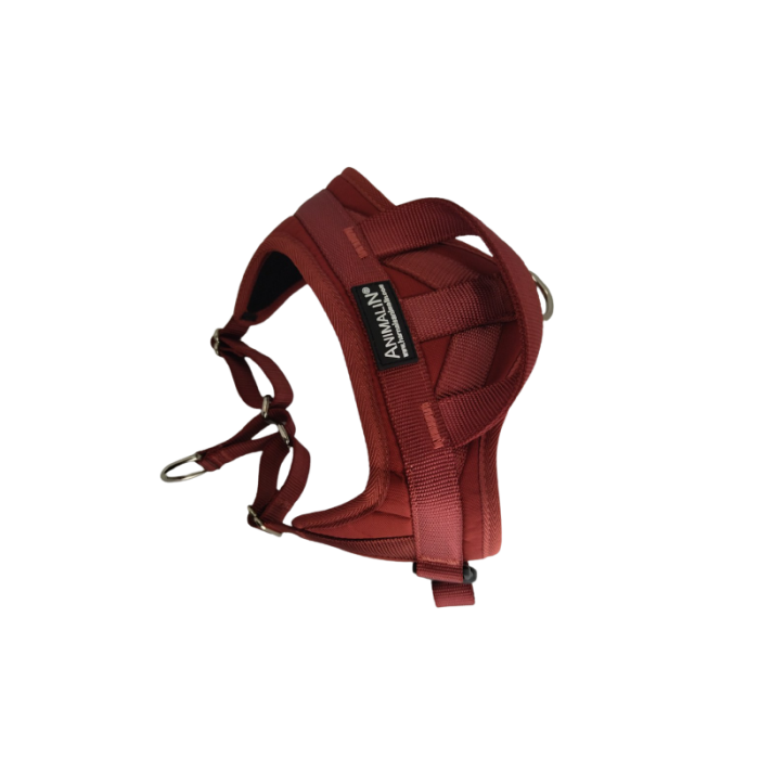 Harnais AUTOMNE Animalin® – Coloris Bordeaux (6 tailles)