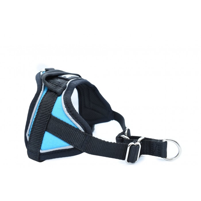 Harnais REFLEX Animalin® BLEU (7 tailles)